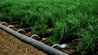 ۱۳۲ میلیارد ریال برای طرحهای آب و خاک سبزوار هزینه شد