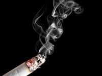25درصد مردان ایرانی سیگار می کشند